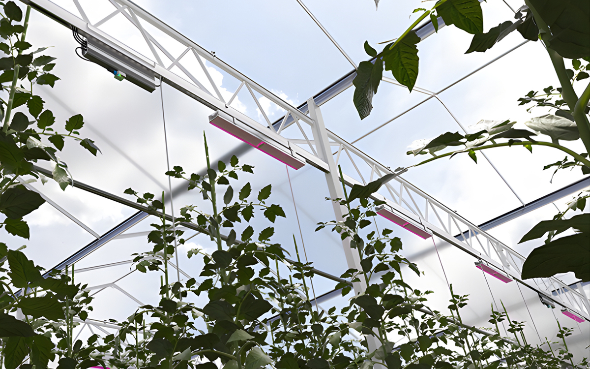 Heliospectra MITRA X LED Grow Light for Commercial Greenhouse Crop Production