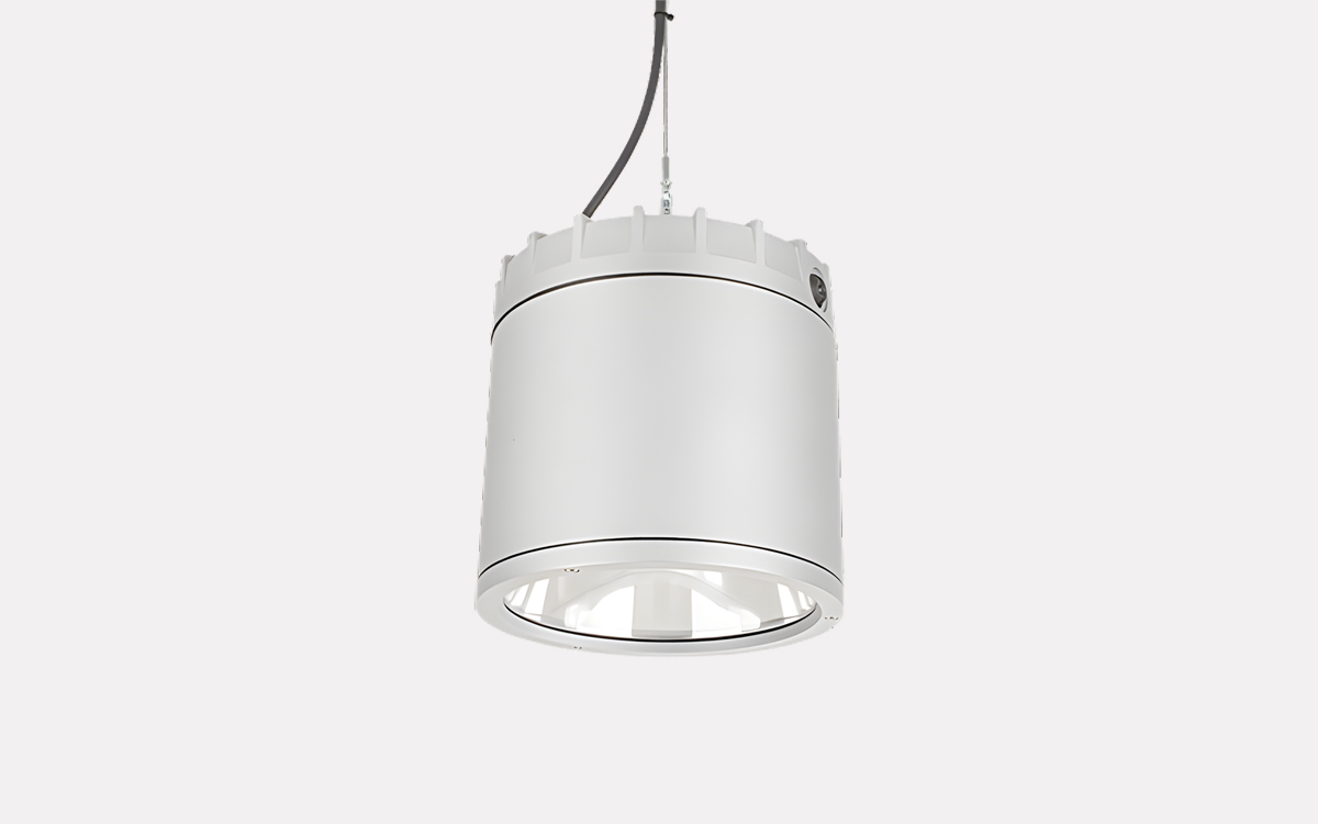 Industrial LED Downlight for Pendant and Surface Mounting in Assembly Halls, Cinemas, Warehouses, and Cold Storage