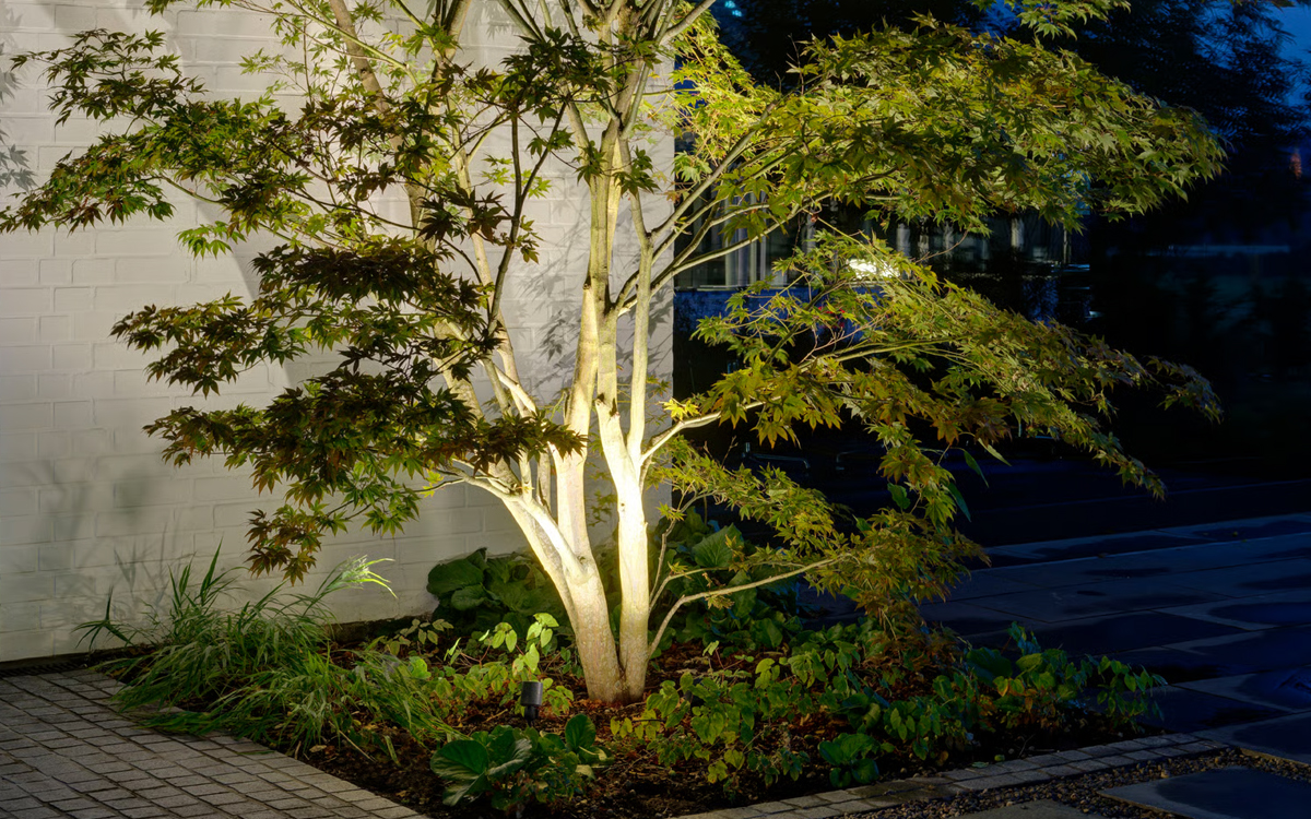 Landscape LED Spotlight for Uplighting Plants, Walls, and Garden Features