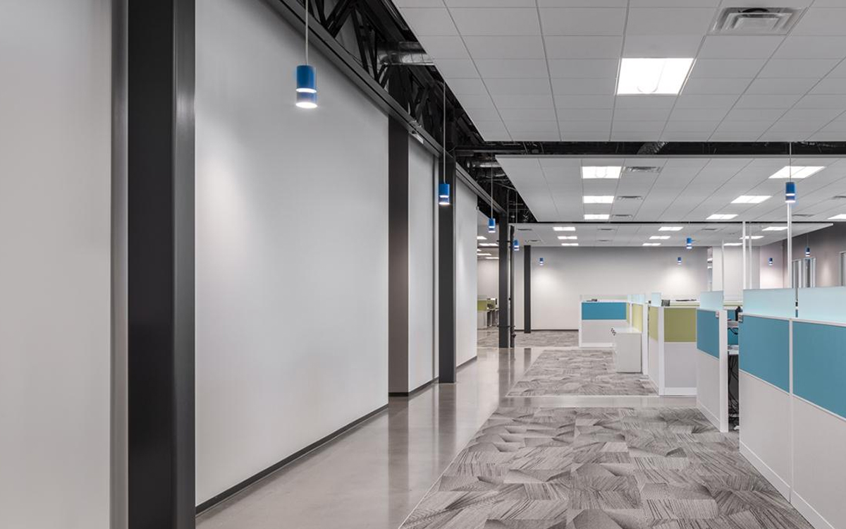LED Cylinder Pendant Light with Warm Dim, Biophilic Naturals Finishes, and Multiple Canopy Configurations