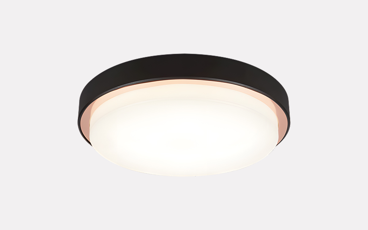 LED Wall and Ceiling Light for Staircases, Corridors, and Entrances