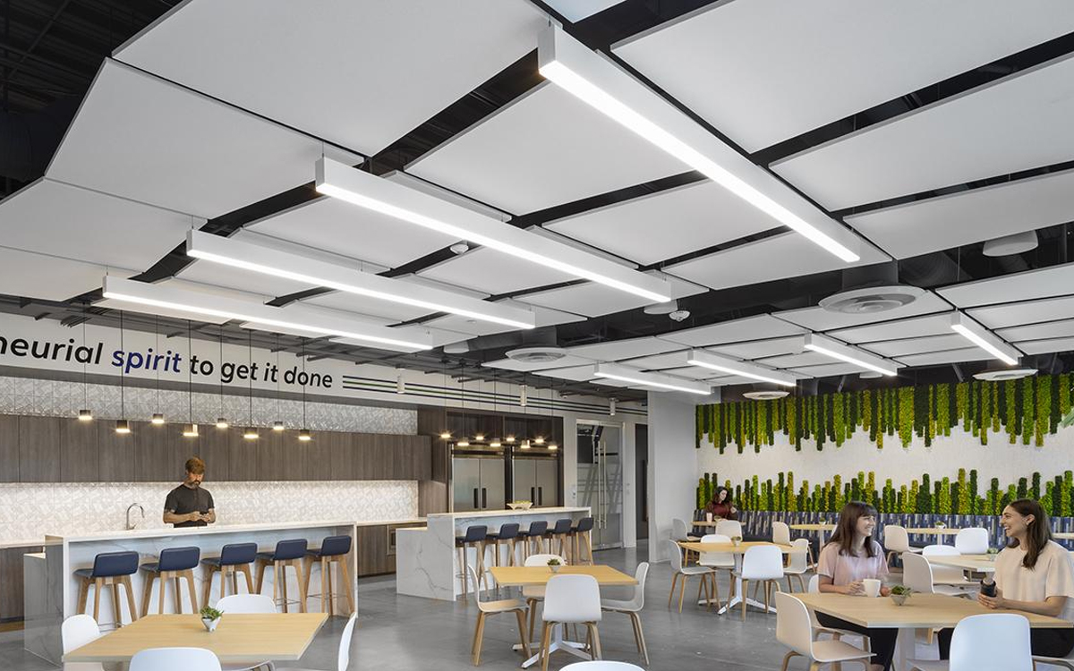 Linear LED Light Fixture with Pop-Down Lens, Biophilic Decorative Finishes, Optional Emergency Battery Backup
