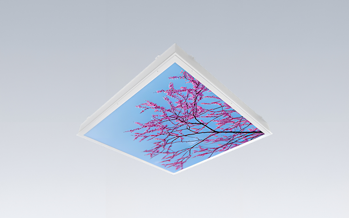 Non-Ferrous Recessed LED Graphic Image Light for MRI and Imaging Suites