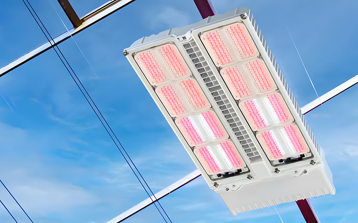 Philips GreenPower High-Power LED Grow Light for Controlled Environment Agriculture and Vertical Farming