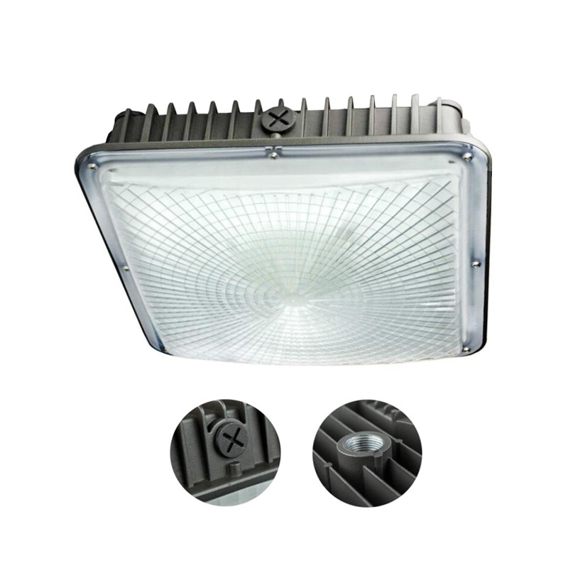 Slim LED Canopy Light