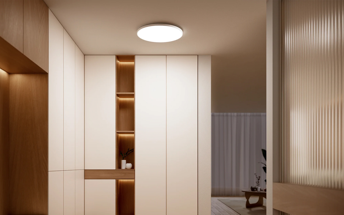Surface-Mount Smart Ceiling Light with Voice Assistant Integration, Mobile App Control, and Circadian Rhythm Support