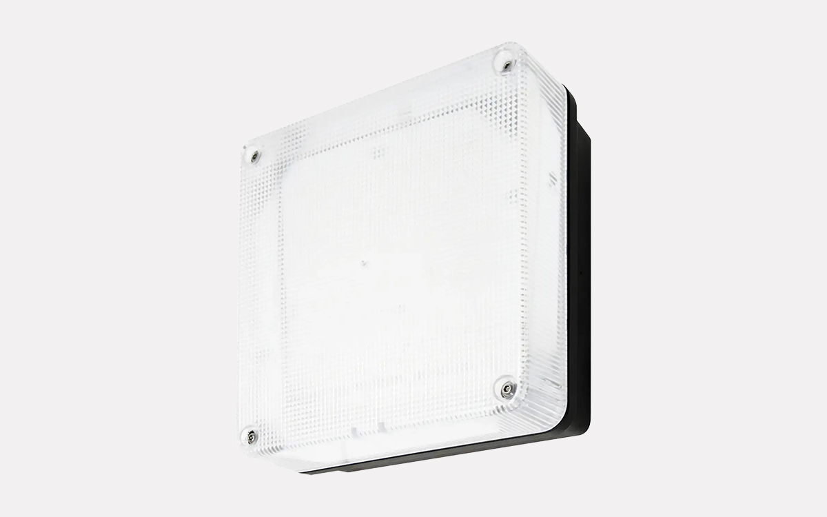 Vandal-Resistant LED Wall Light with Emergency Backup for Security Areas and Precincts