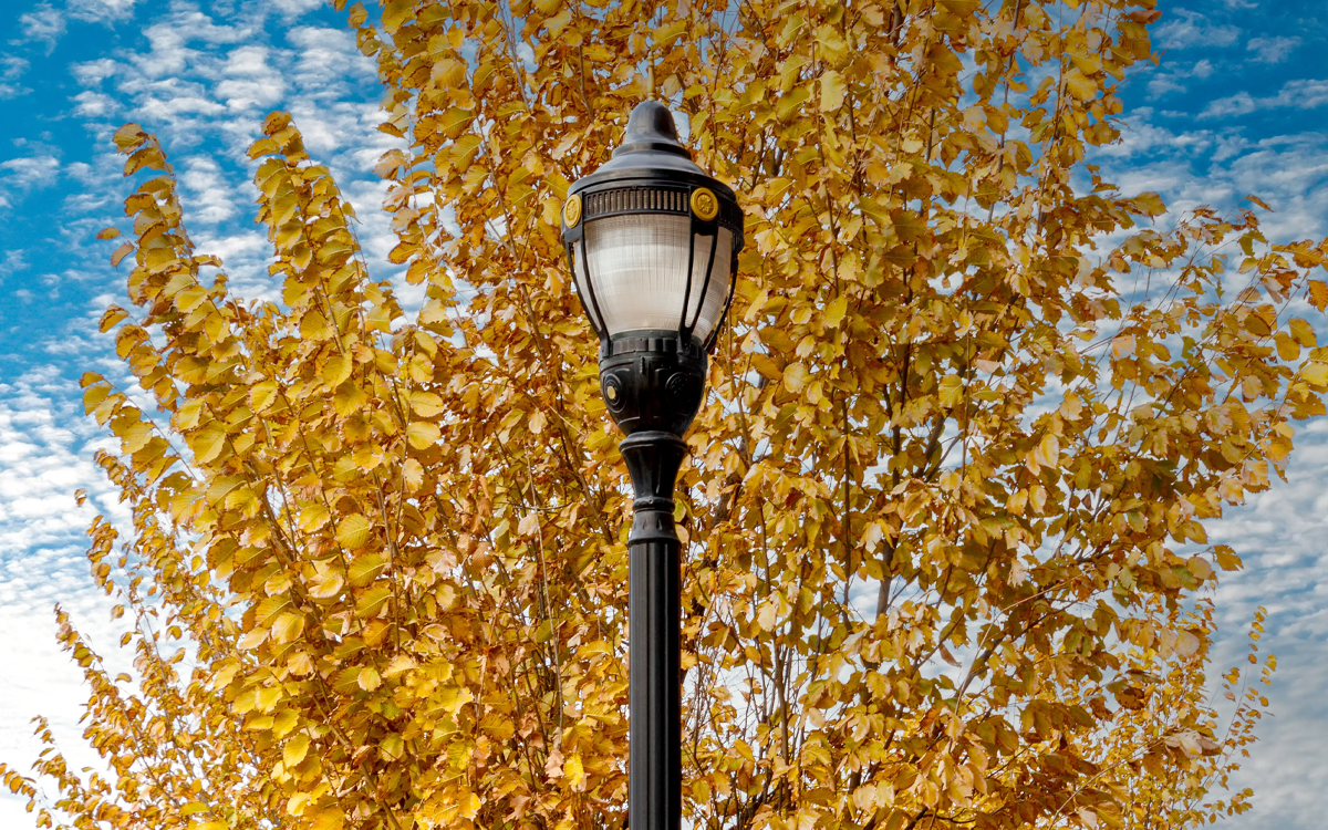 Victorian Acorn LED Street Light with Decorative Cast Aluminum Fitter and Gold Medallions for Municipal Streetscapes