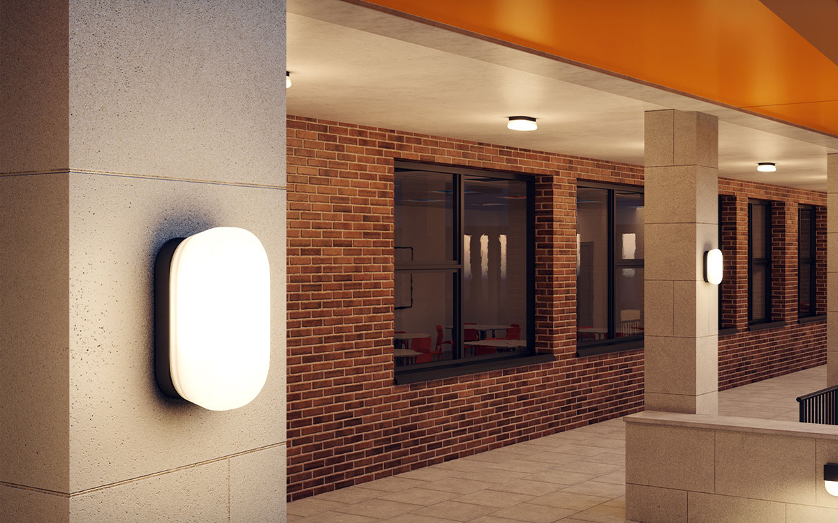 Wall and Ceiling Mounted LED Light for Corridors, Stairwells, and Building Facades with Optional Shields