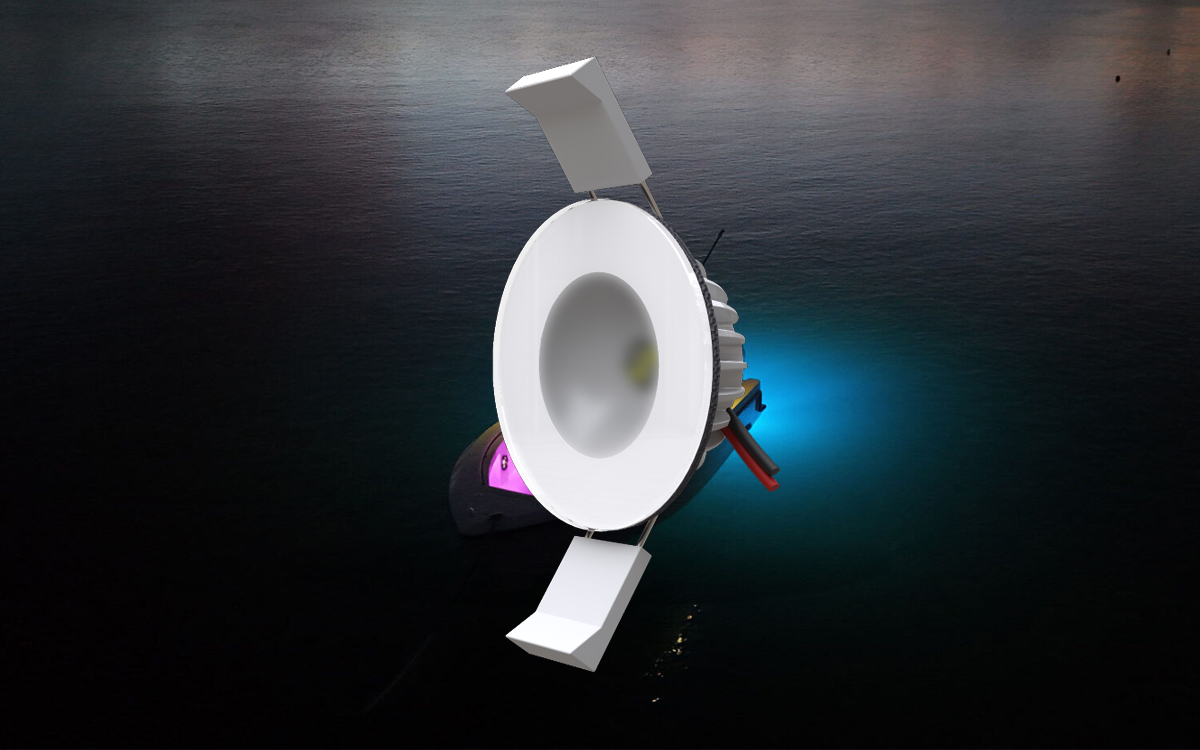Waterproof RGBW LED Downlight for Interior and Exterior Marine Lighting