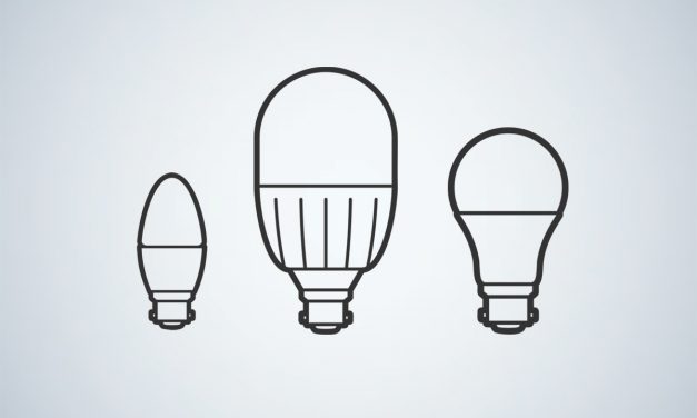 B22 LED Light Bulbs