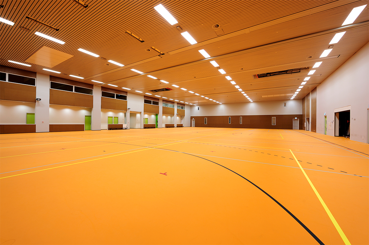 High Bay Lights for Sports Halls, Gymnasiums