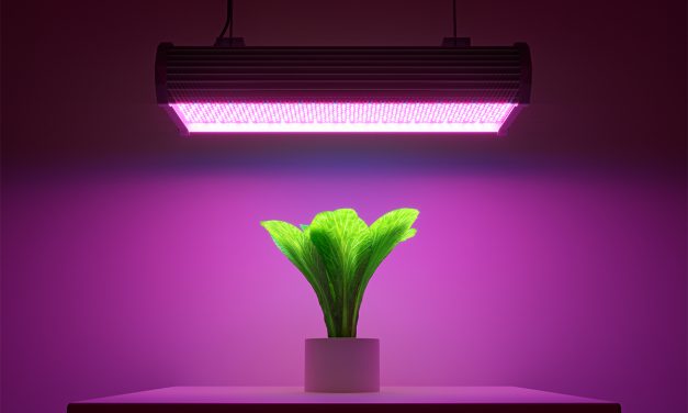 Horticulture LEDs | LED Packages for Horticulture Lighting