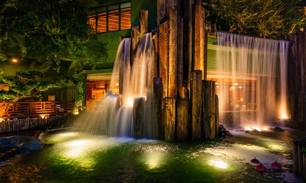 Pond and Fountain Lights | Underwater Landscape Lights