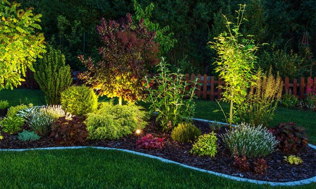 Low Voltage LED Landscape Lighting Fixtures