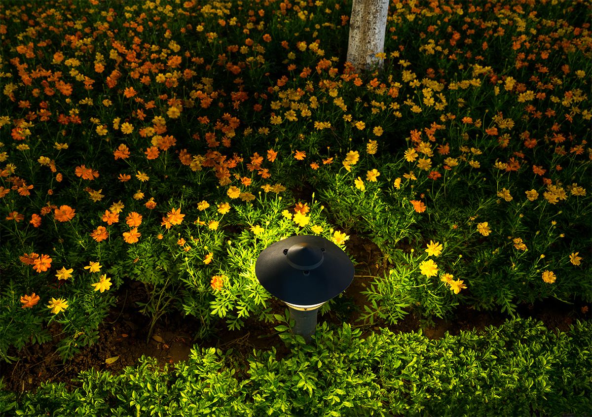 Landscape Path Lighting