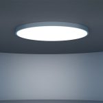 Smart Ceiling Lights