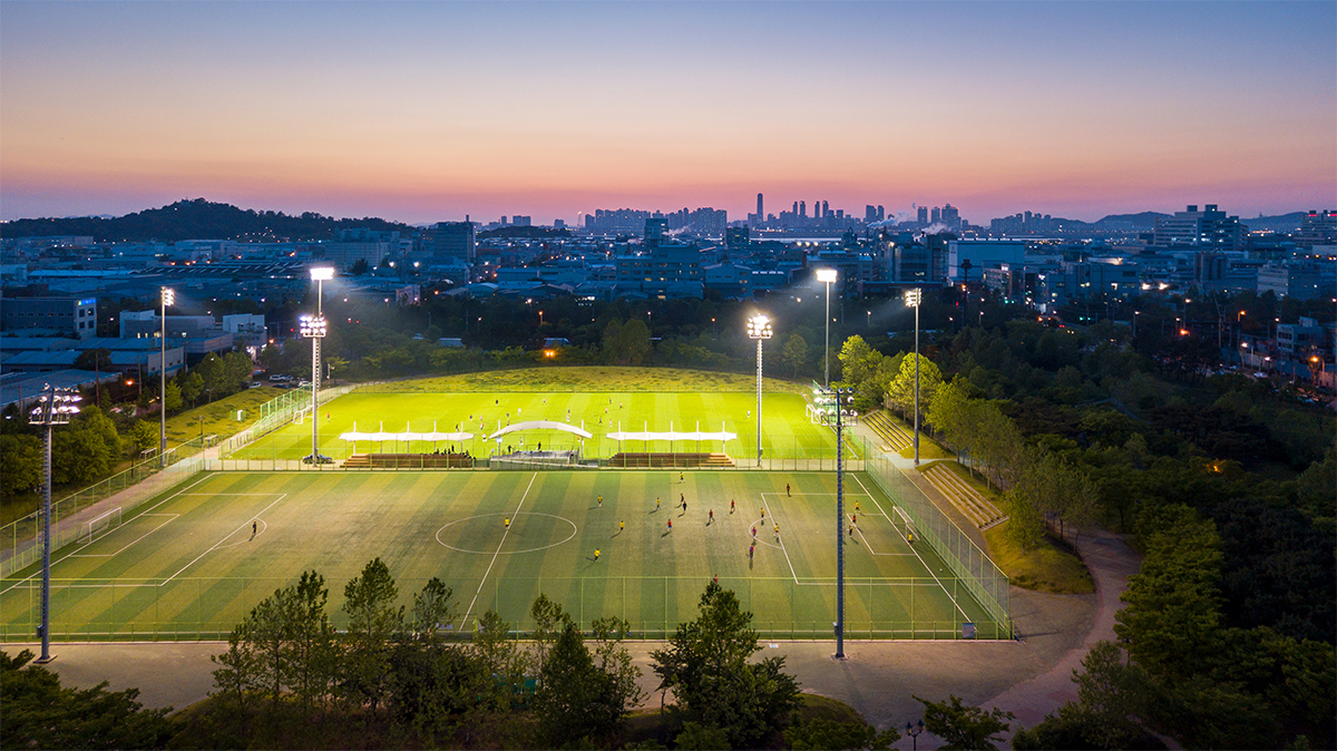 Sports Field Lights | LED Floodlights for Baseball, Soccer, Football Fields