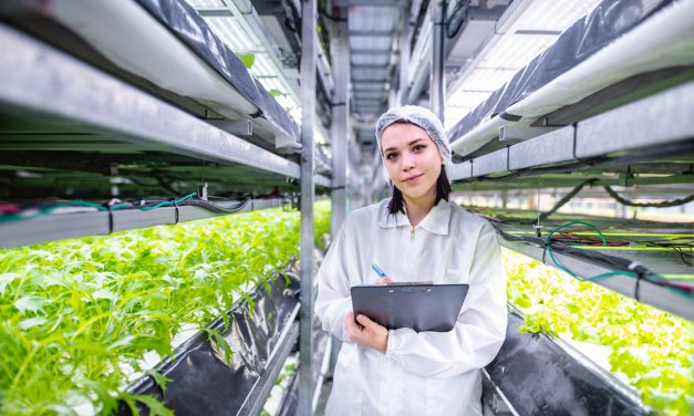 Vertical Farming LED Grow Lights