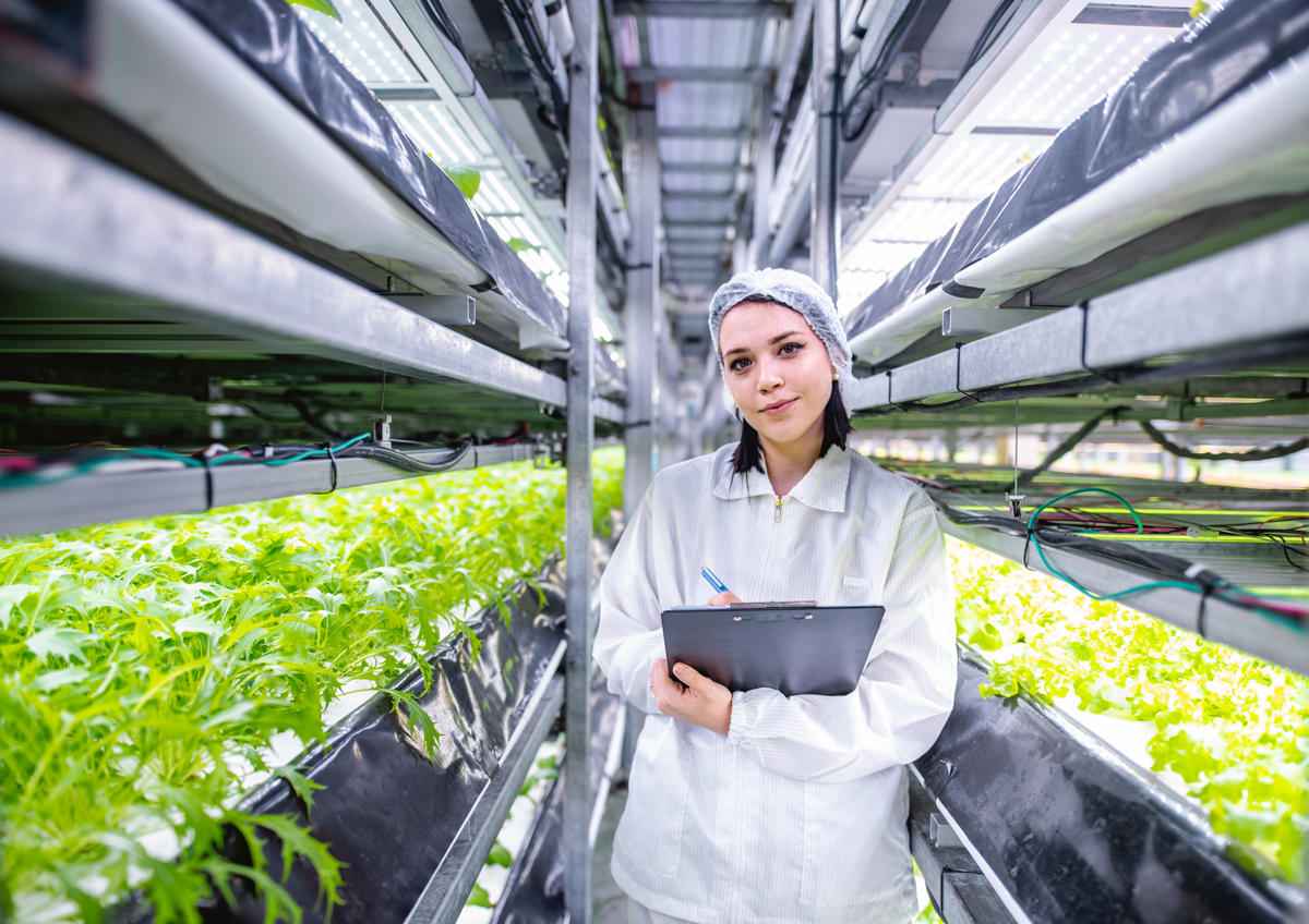 Vertical Farming LED Grow Lights