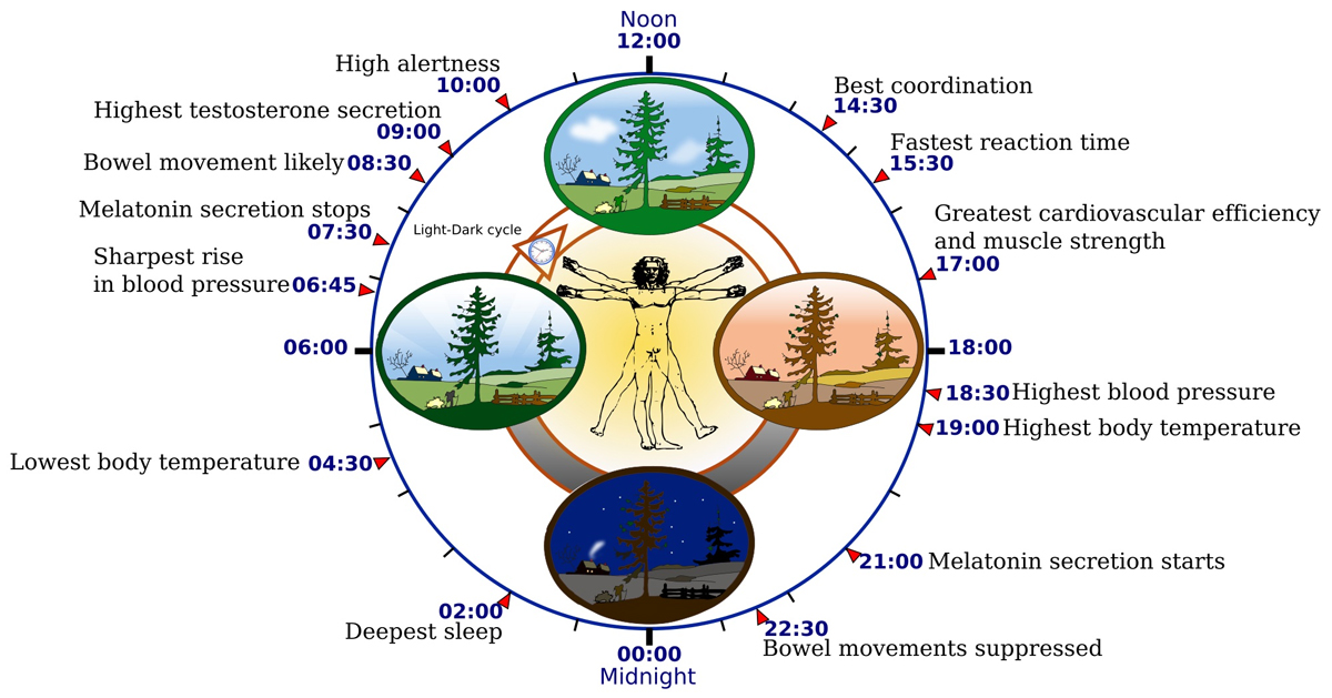 Human centric lighting