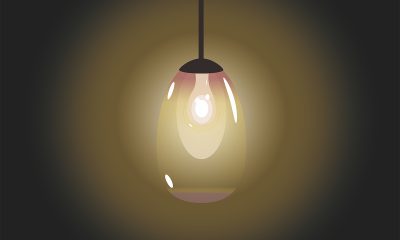 Decorative Light Bulbs