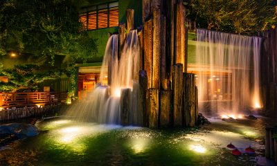 Pond and Fountain Lights