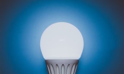 B22 LED Bulbs