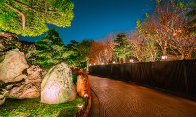 Solar Fence Lights