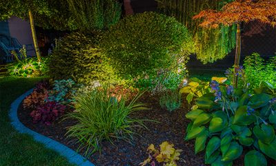 Solar Garden Lights